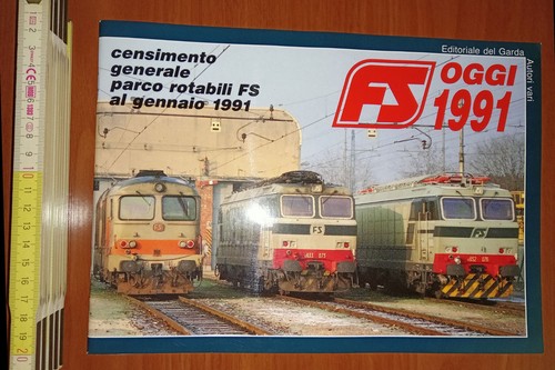 Oggi 1991 censimento - fs, 1991: